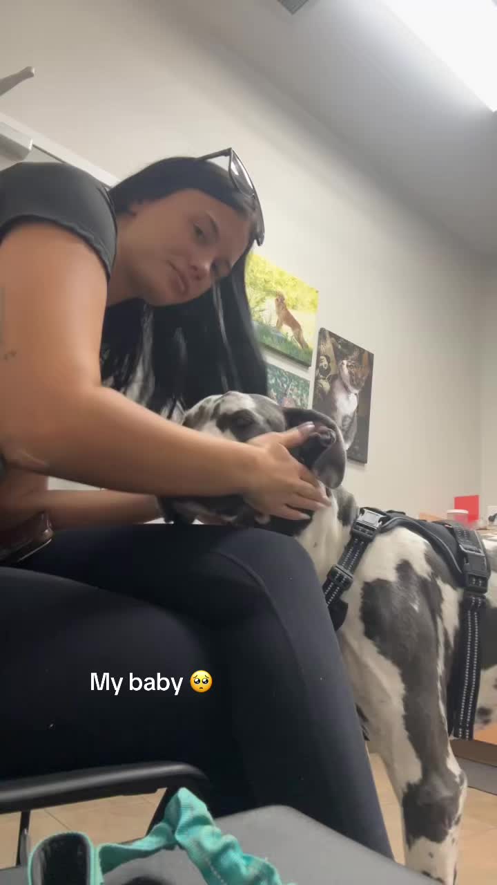 @lys.gregory