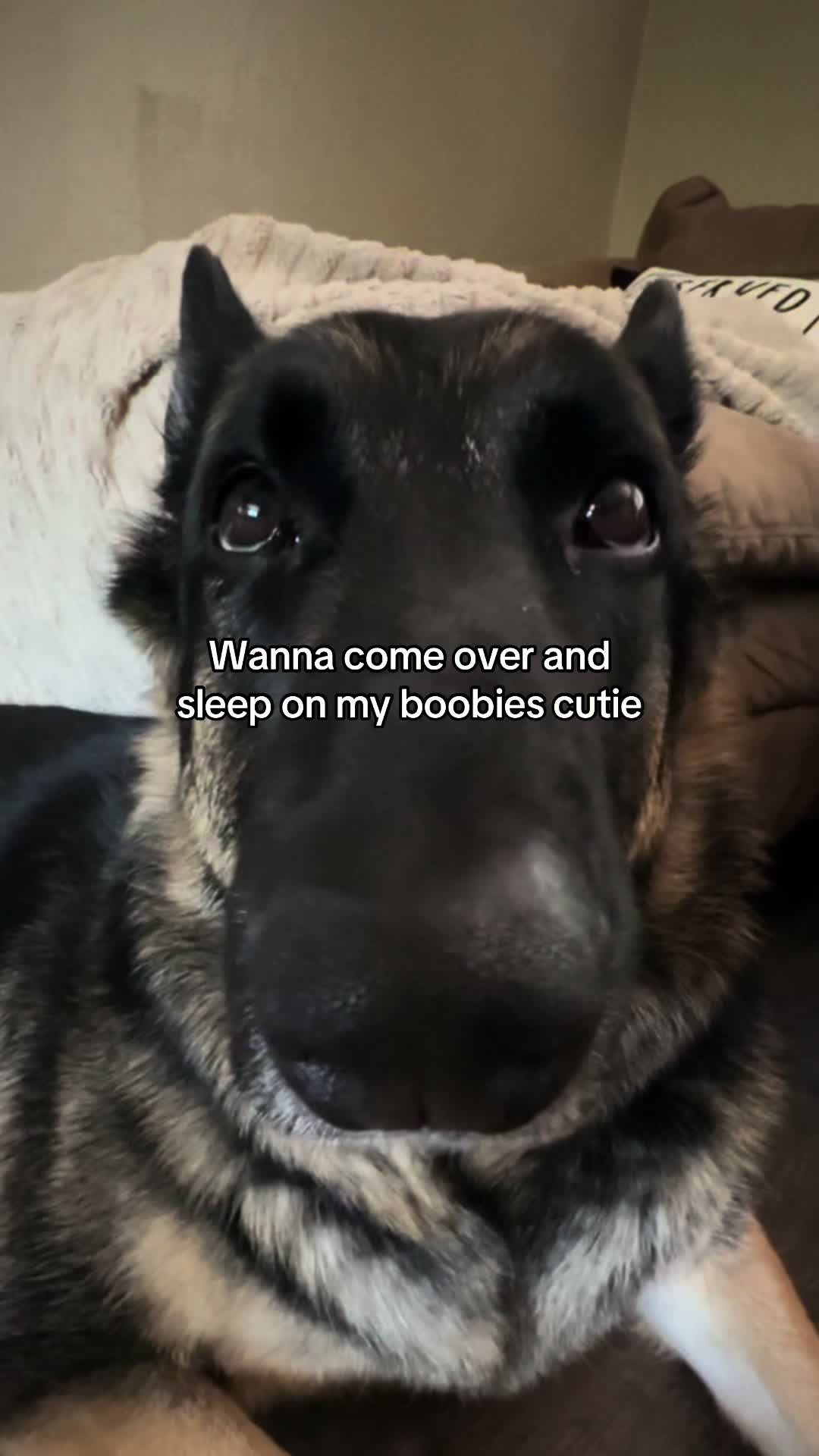 @Bhris