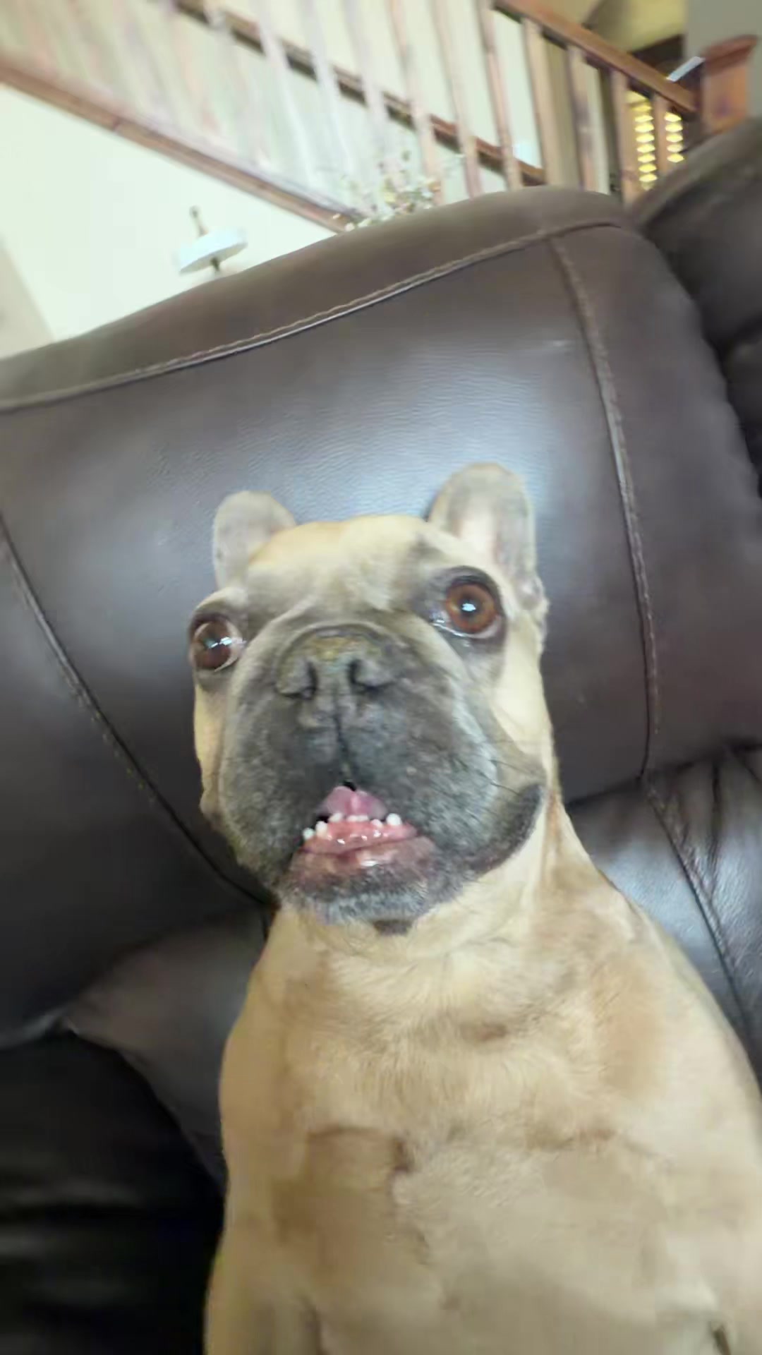 @bentleytheg0at
