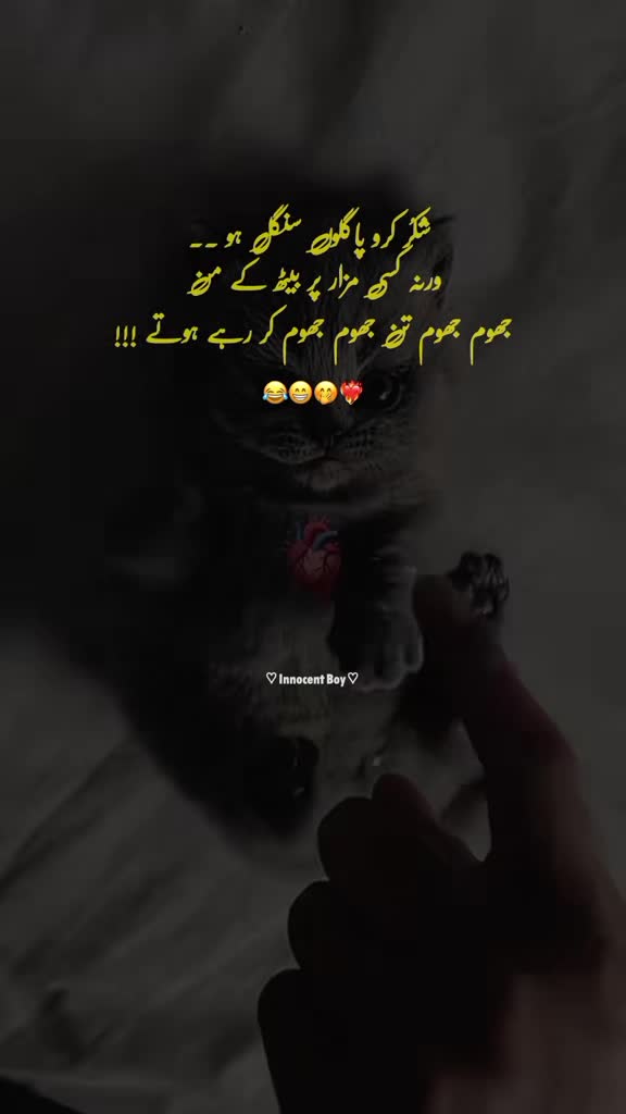 @Innocent Boy ❤️🔥👑🥀