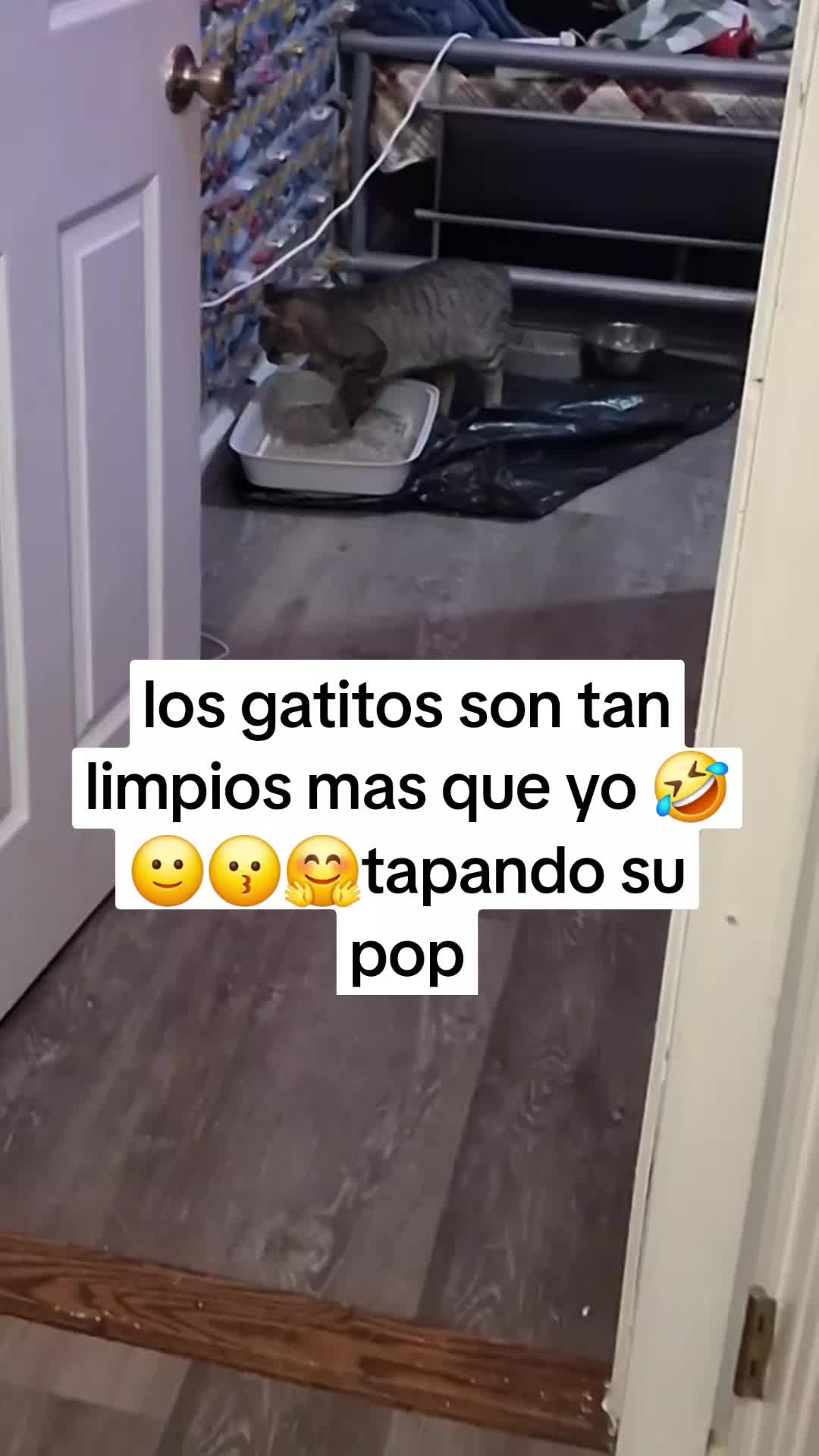 @Mamagatera20