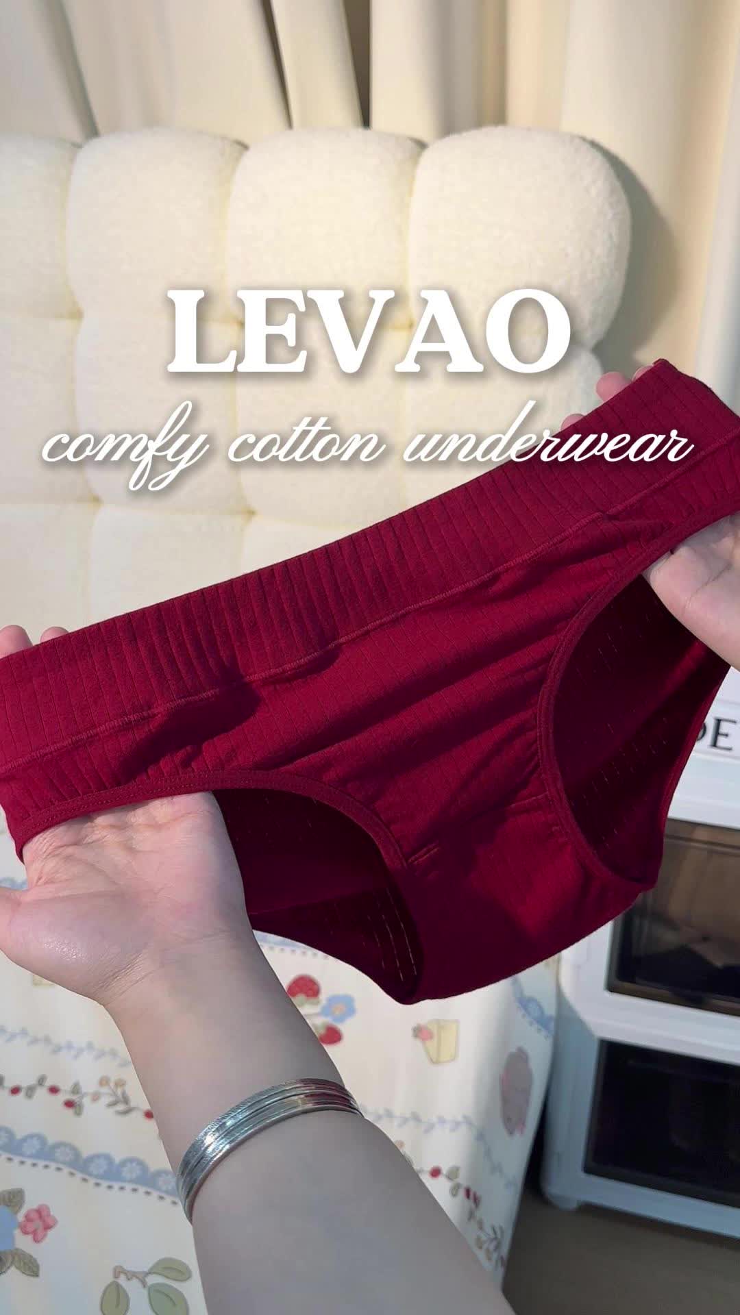 @LEVAO Briefs