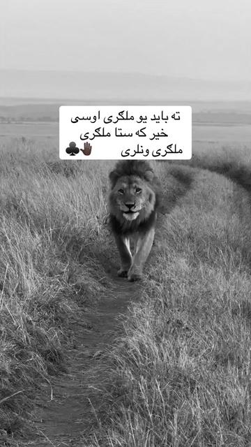 @🥷🏿کــــپــــچــــه🥷🏿