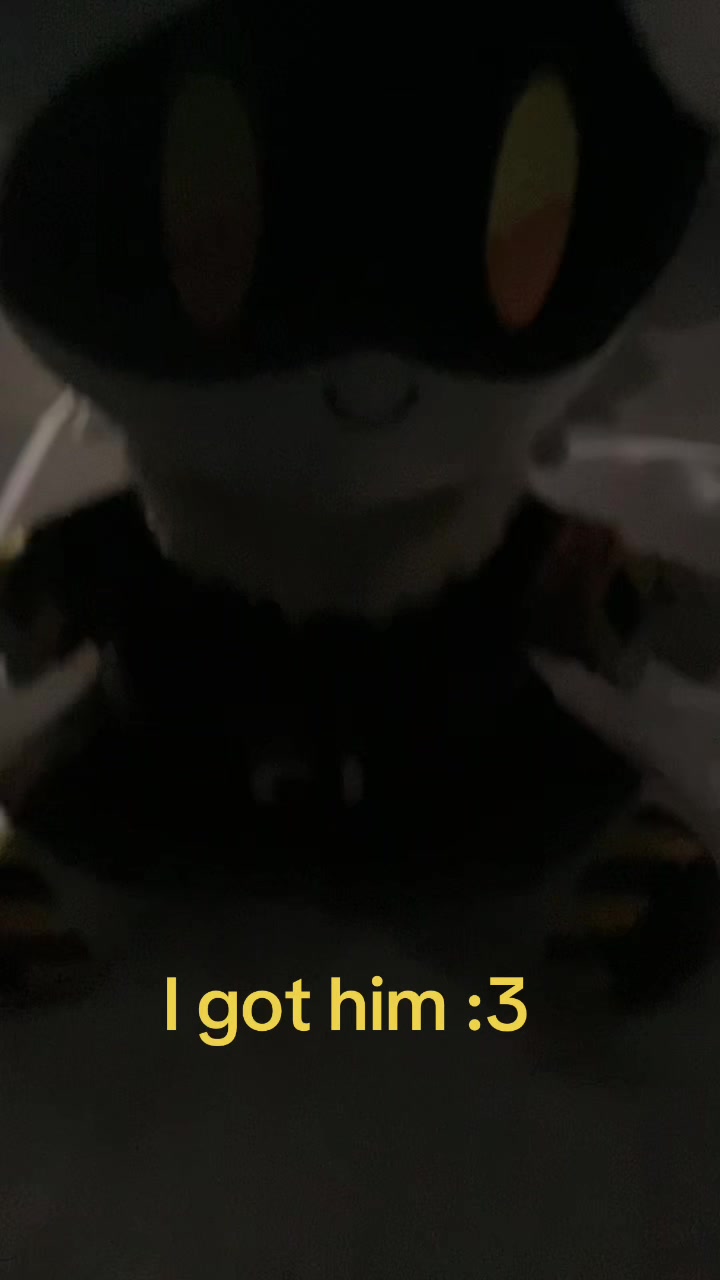 @Daikaiju & co productions