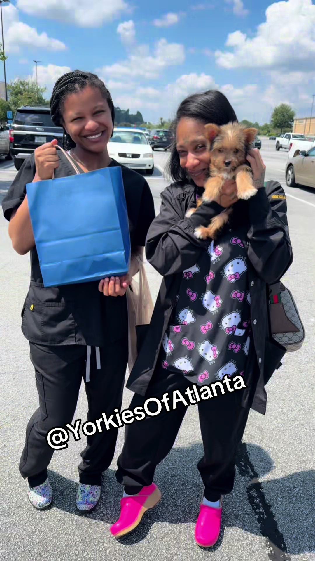 @Yorkies Of Atlanta