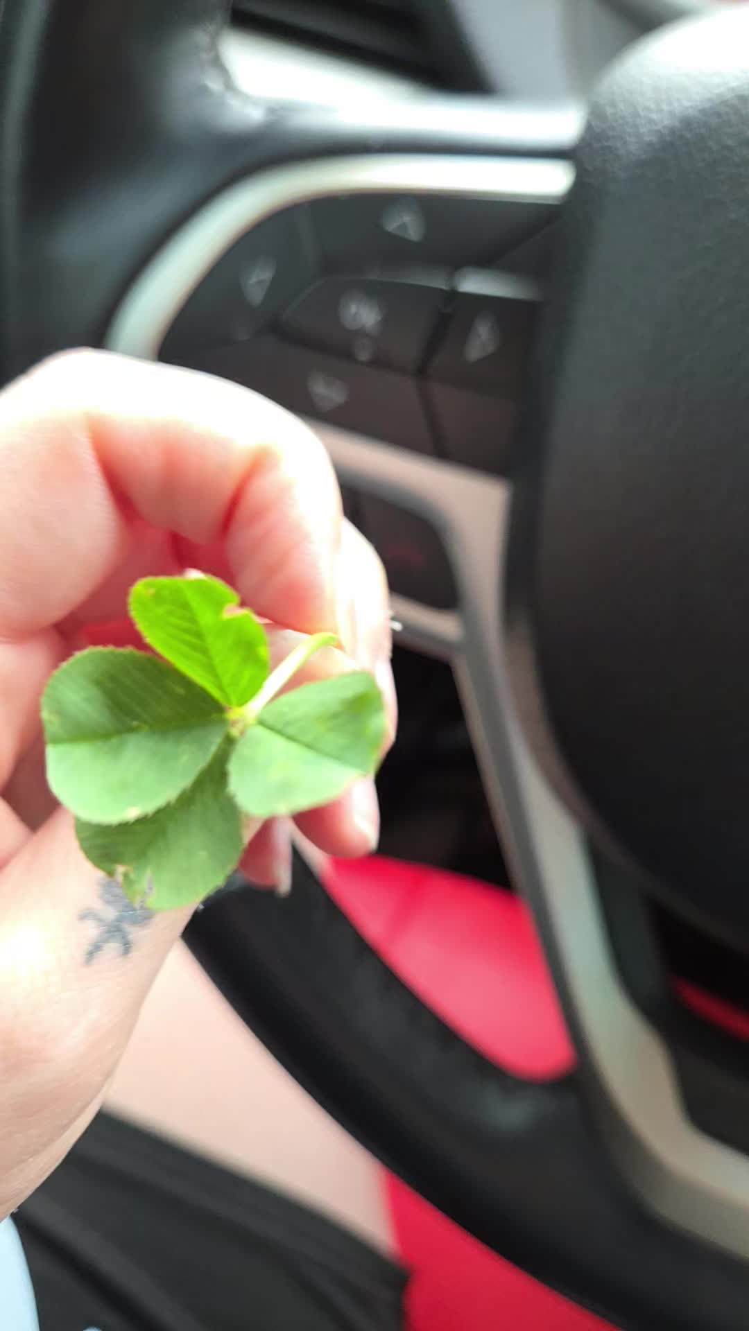 @🖤☘️L&uuml;ck&yuml;☘️🖤