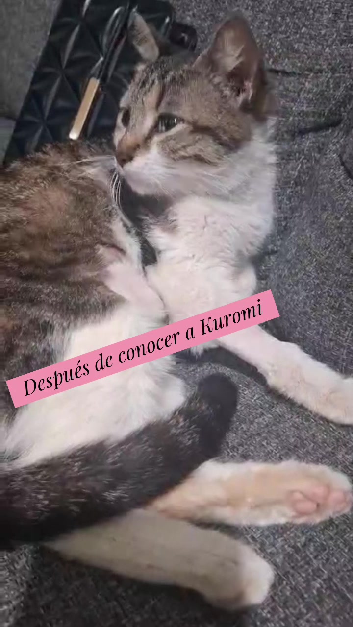 @Kikohouse