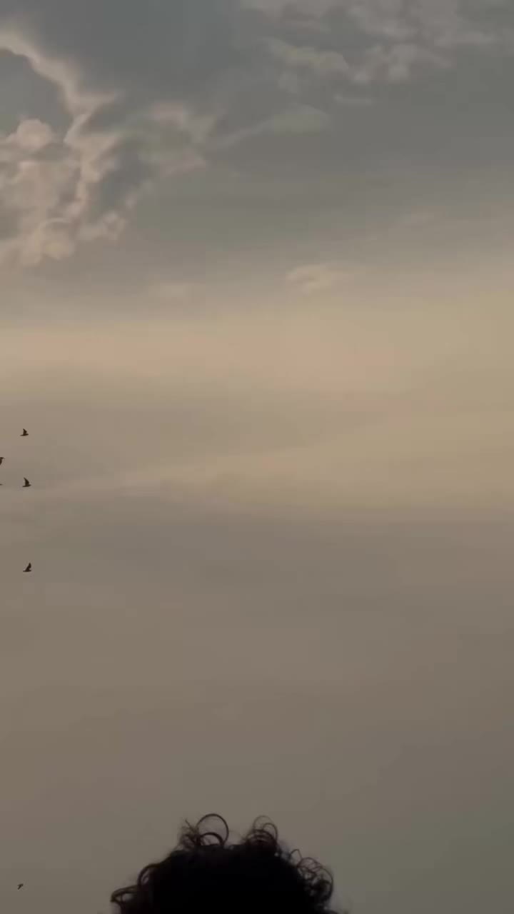 @𝗛𝗮𝗿𝗿𝘆