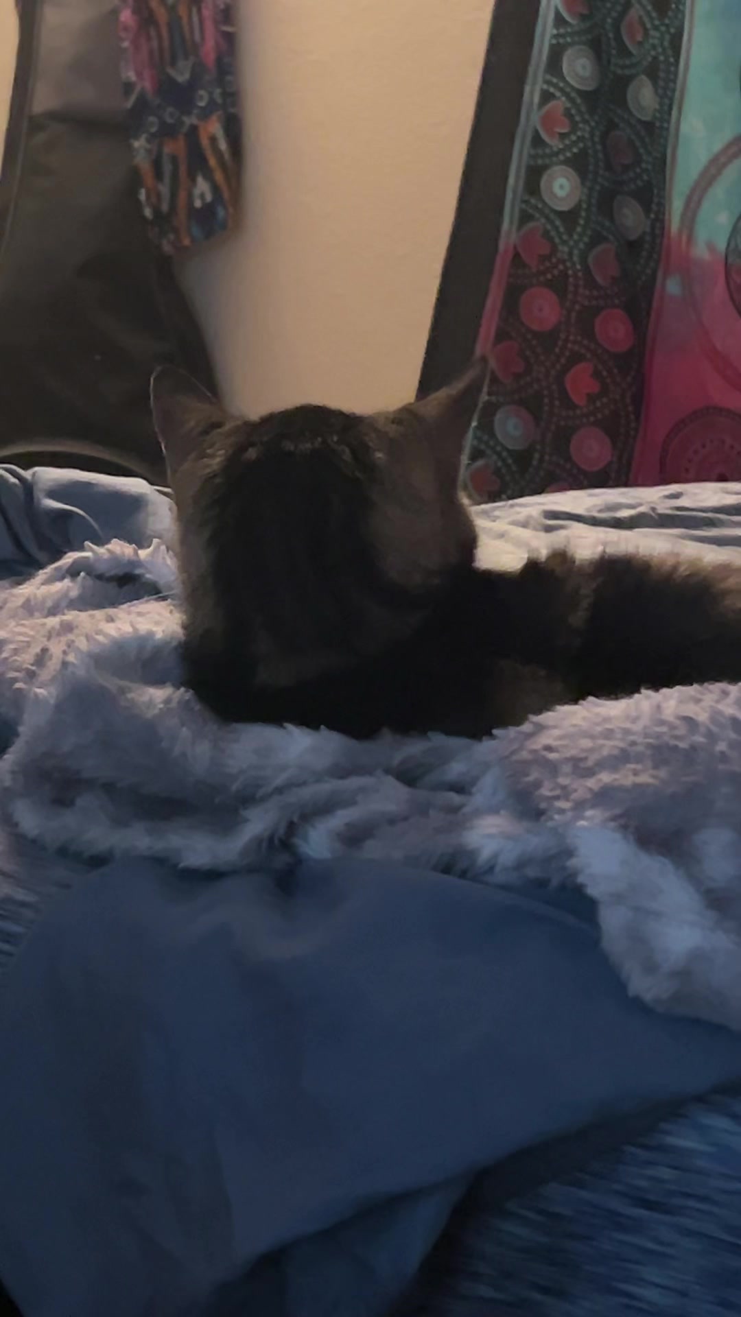 @durtyjerzeyrrat