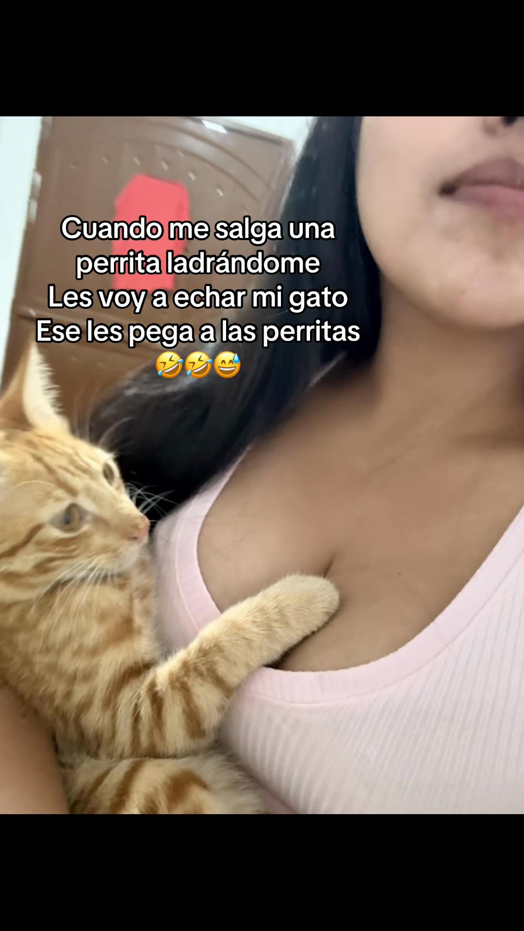 @D🎀