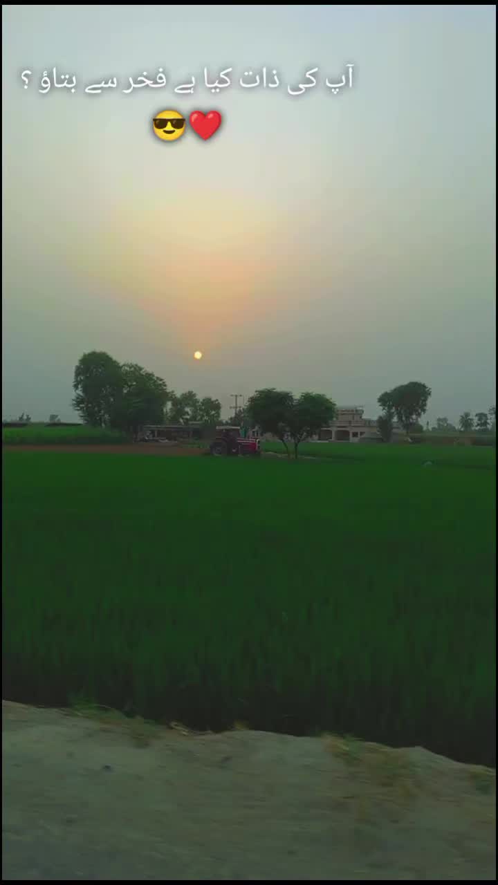 @❤️🩹شانی سندھو 🌱🌾