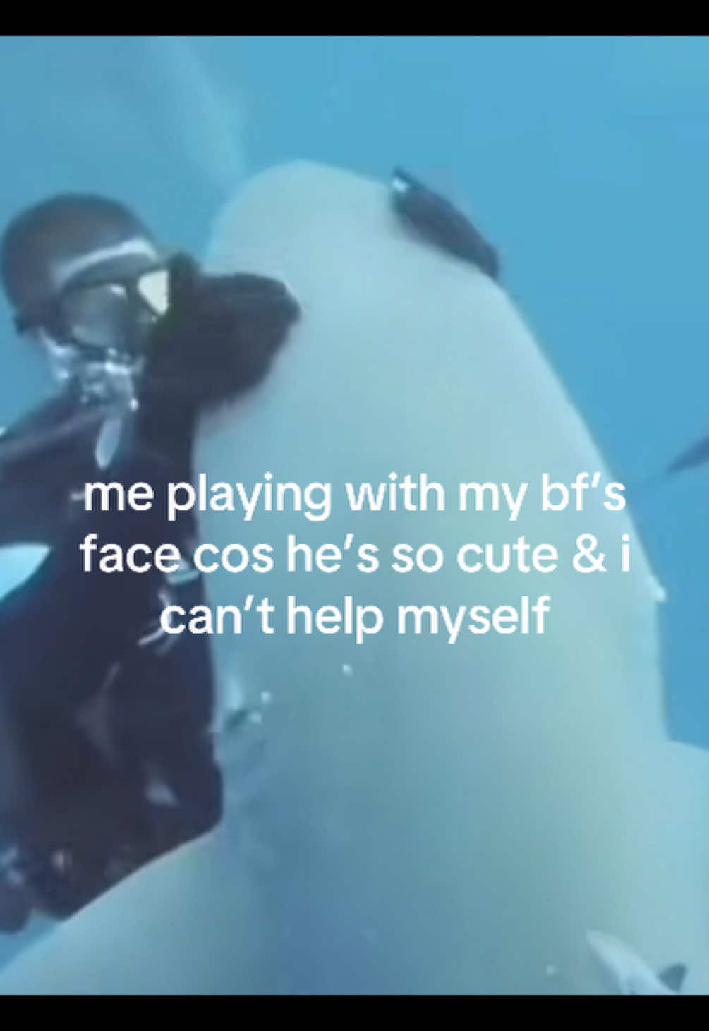@meow