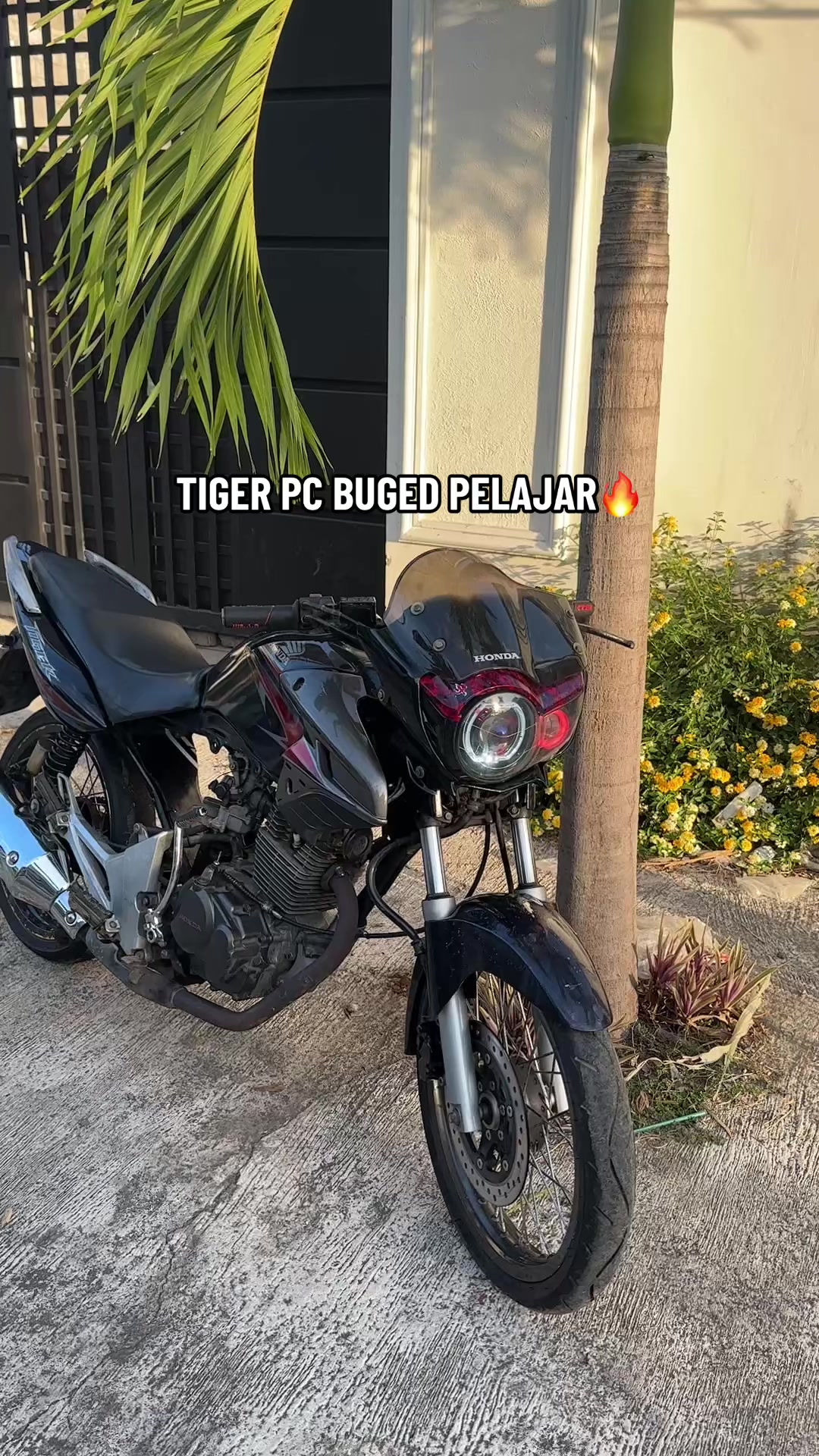 @TUMBAZ_HEREX