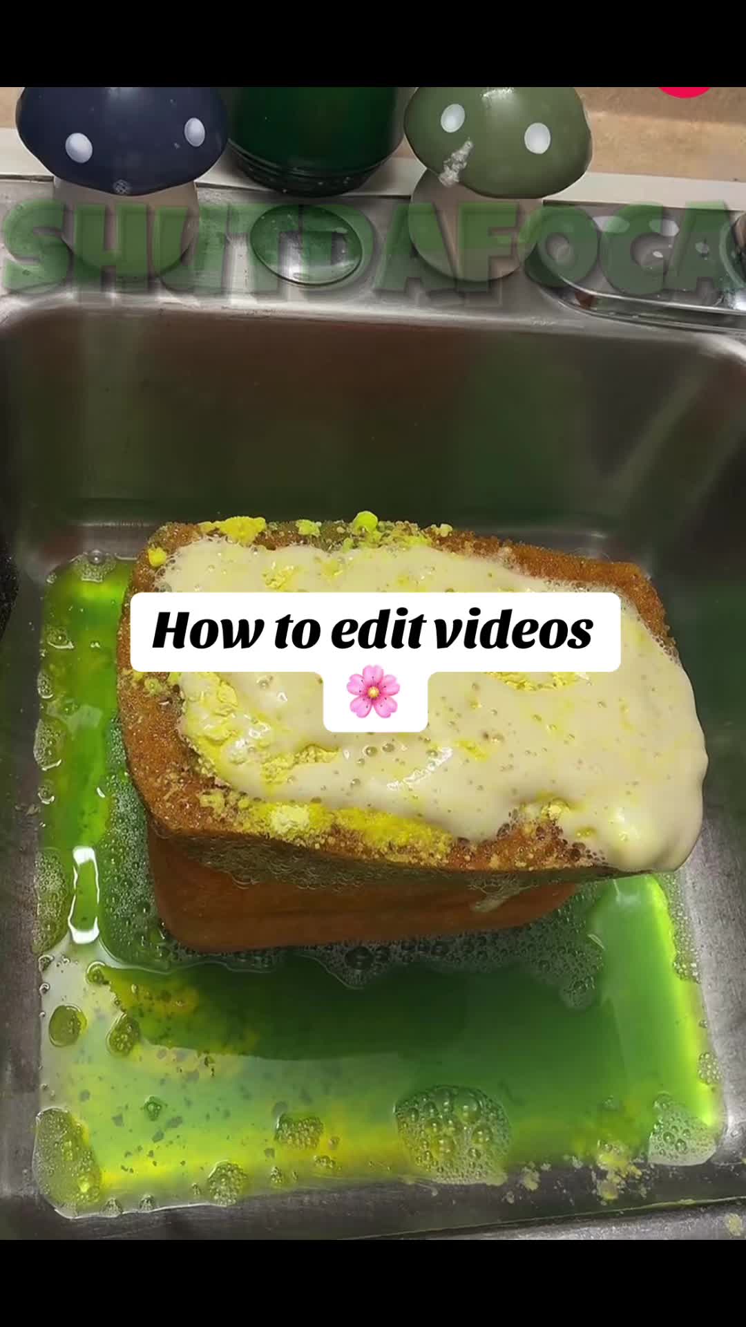 @shutdafoca