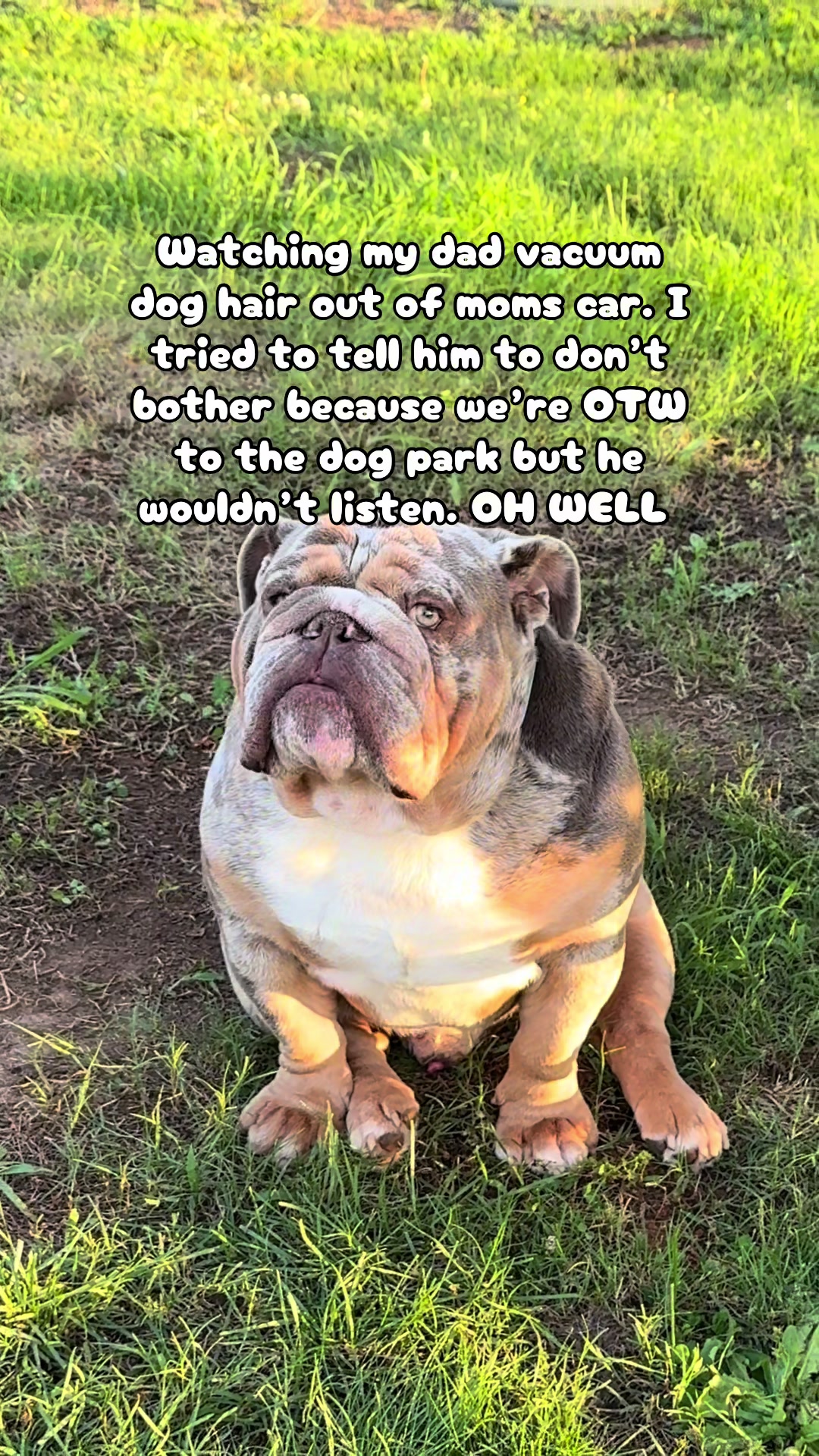 @barkleythabulldog