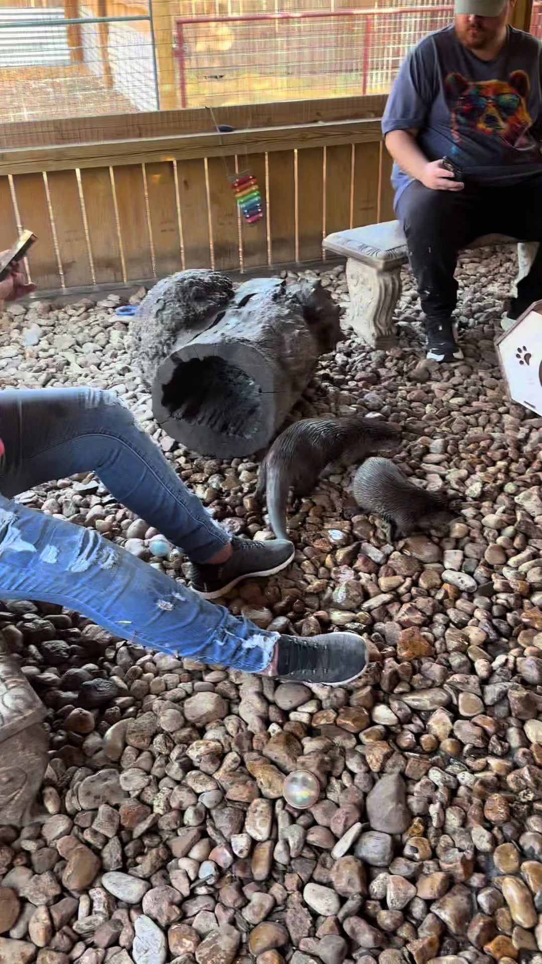 @Texas Wildlife Park