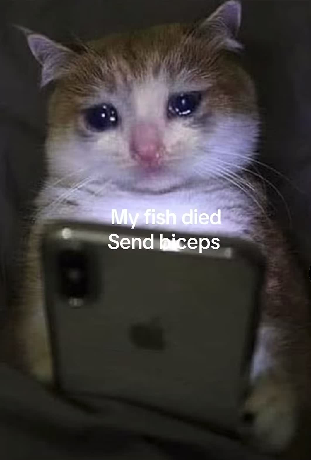 @Jlynn