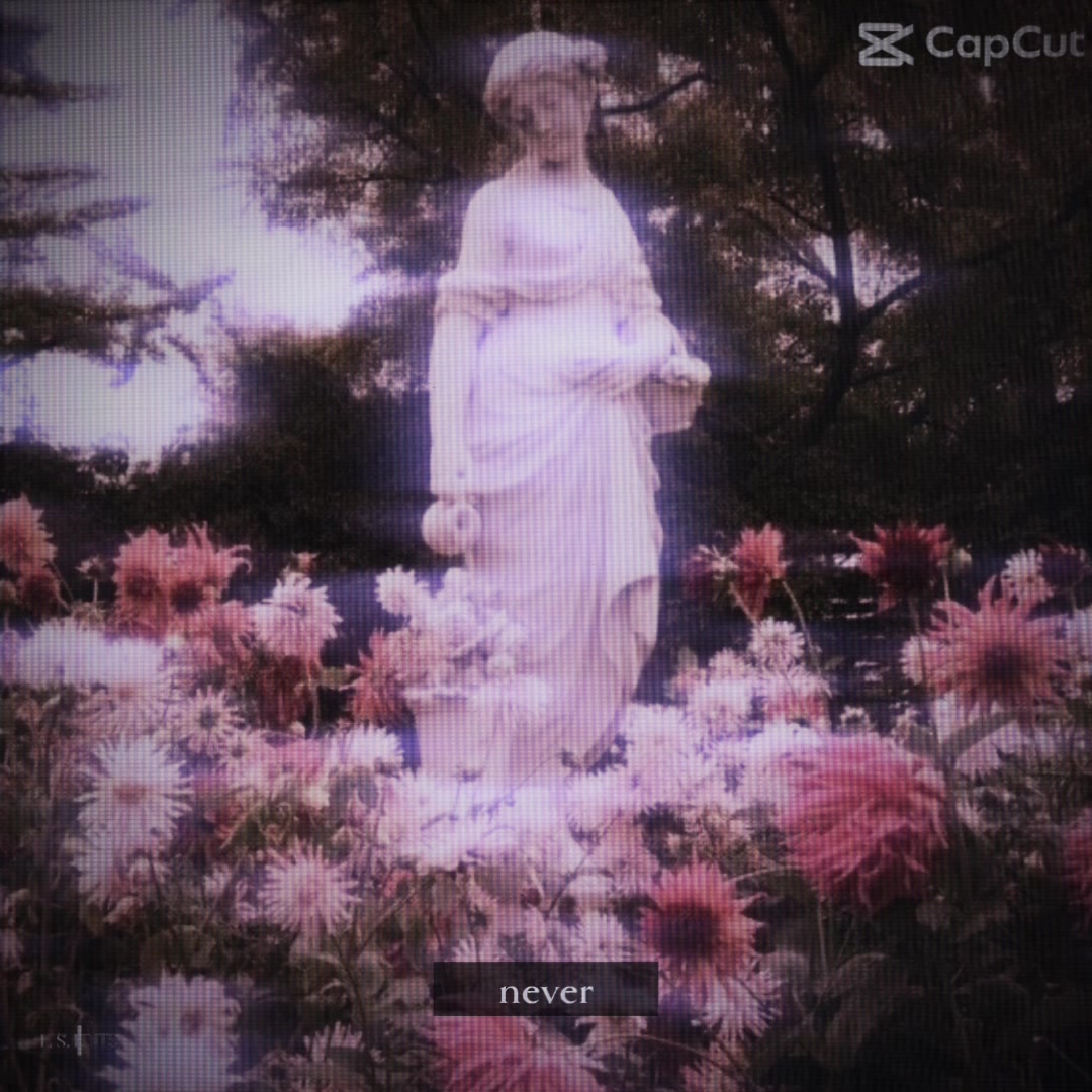 @Bagelz🏛️🌿✨