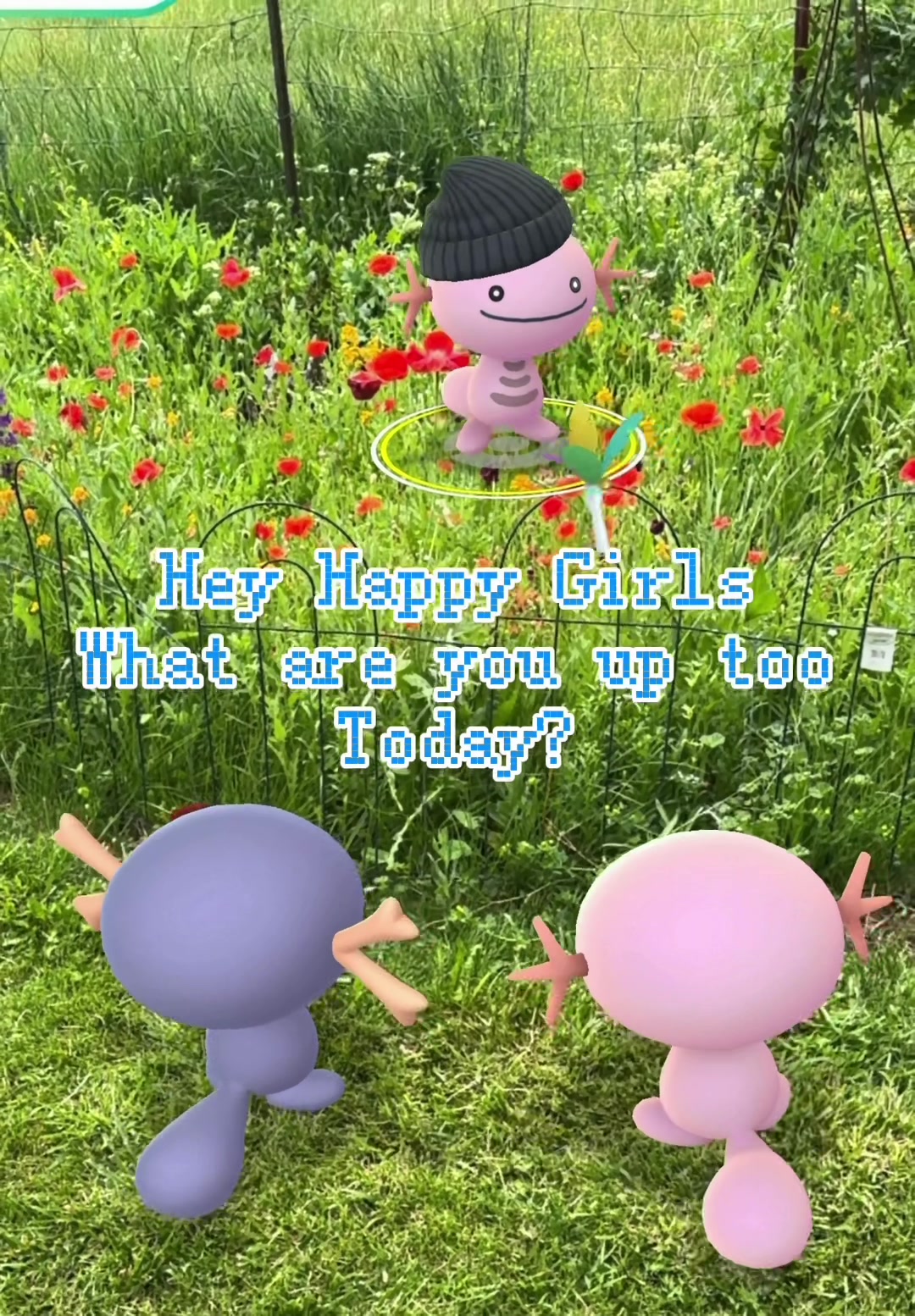 @The Wednesday Wooper