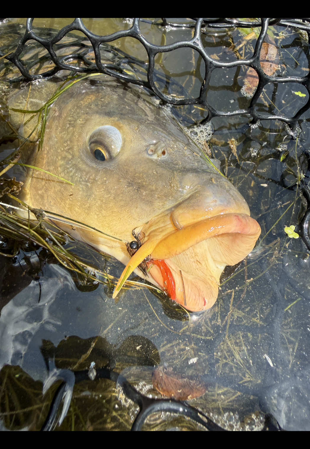 @Fishin_With_B