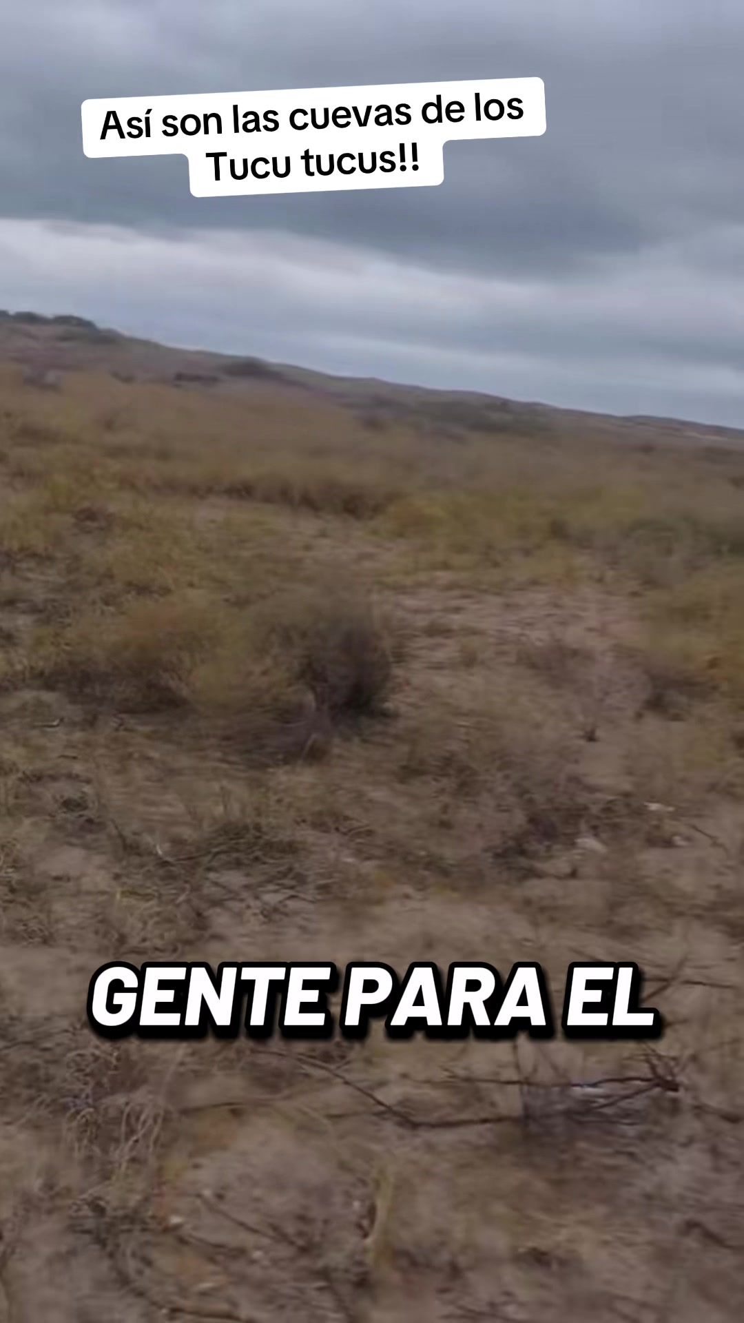 @El flaco