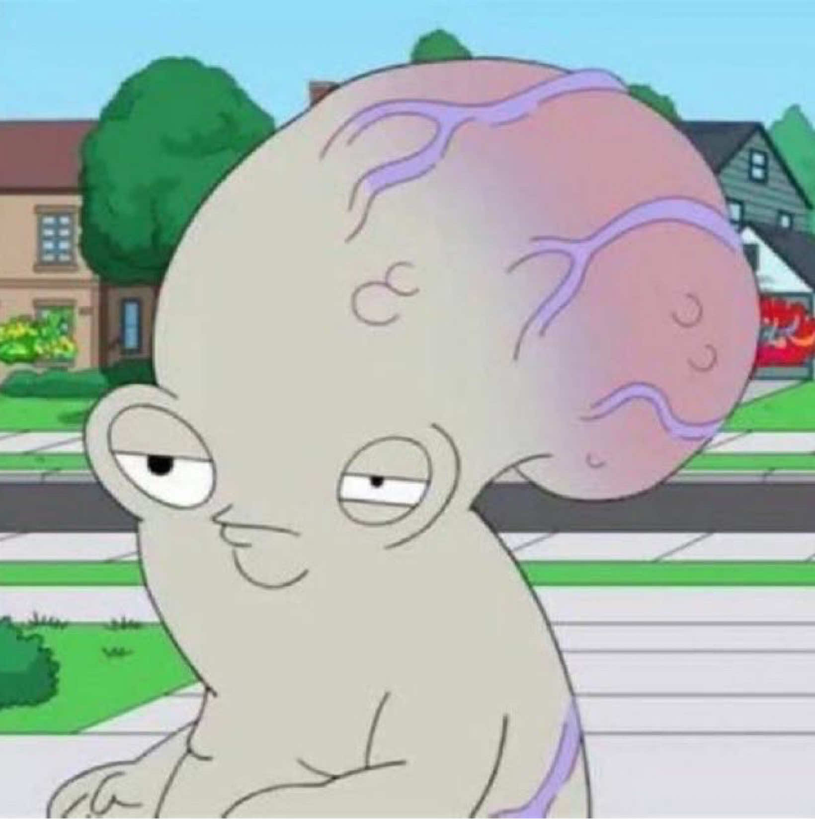 @꧁✽𝐧𝐚𝐣𝐞✽꧂