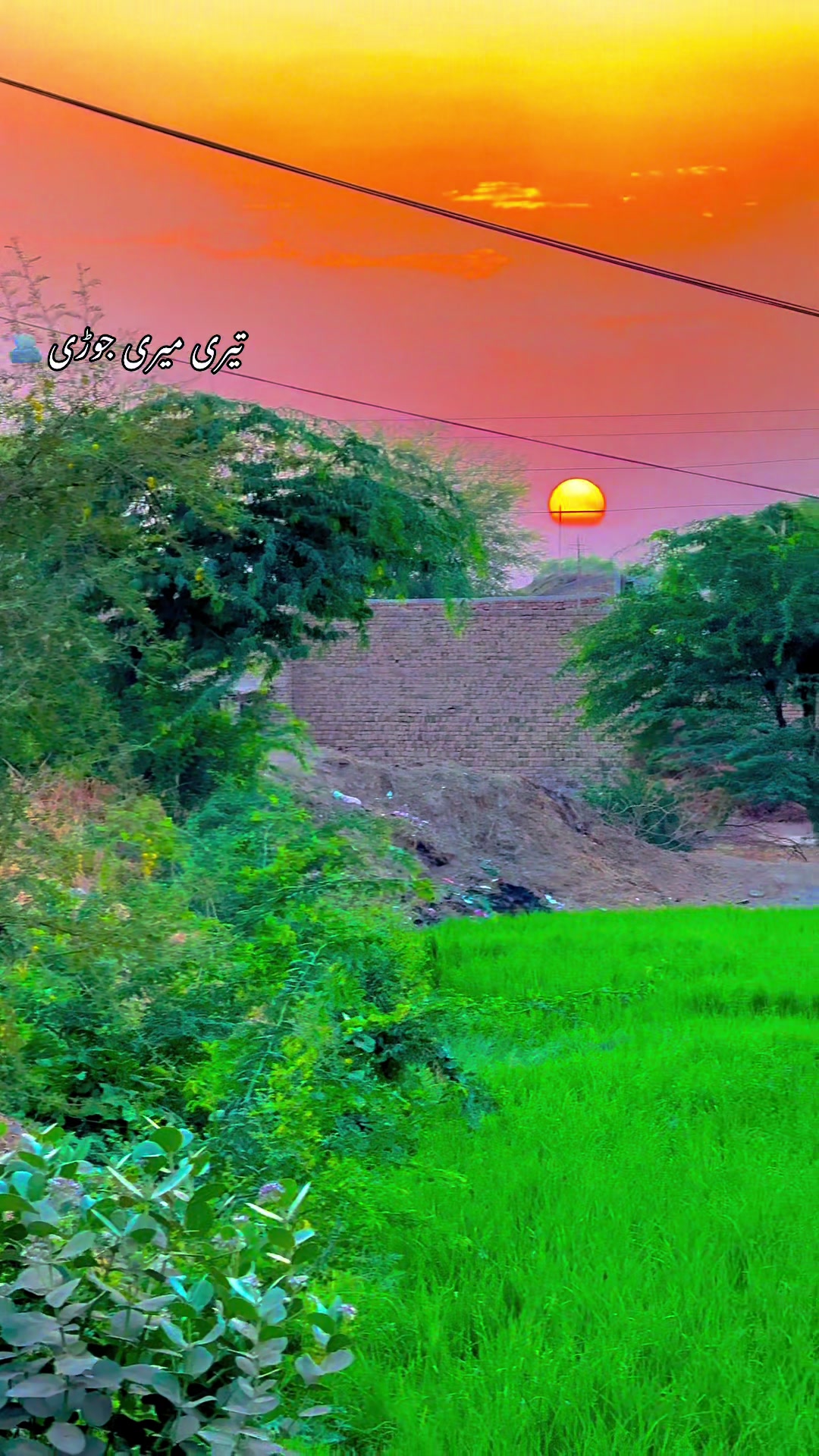 @🌾میں۔ میرا۔ پنڈ🎋
