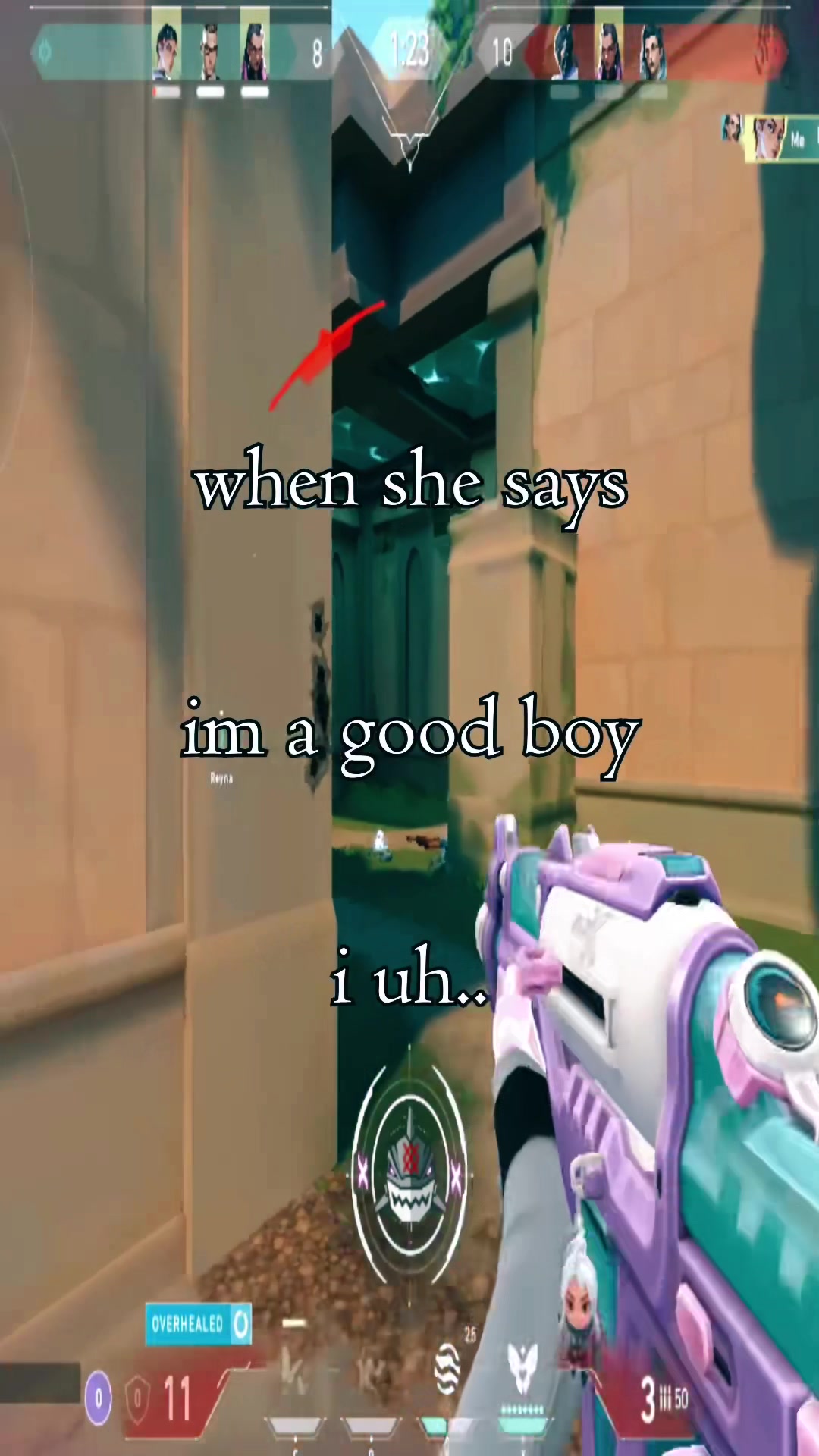@hsho