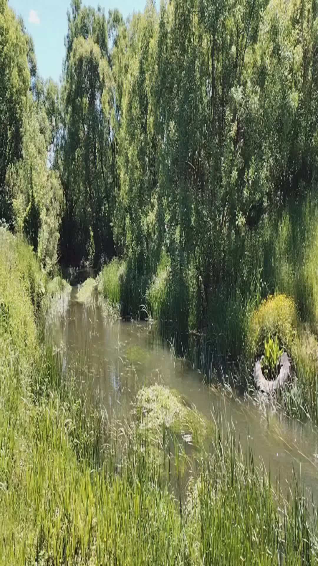 @214