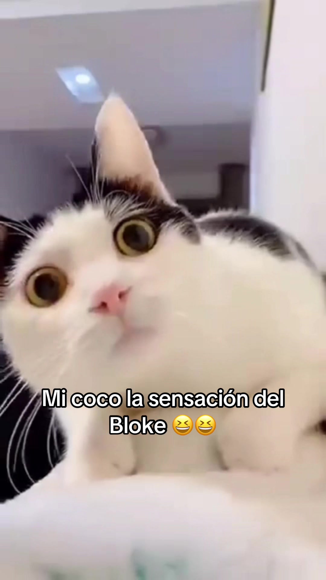 @Te espero en páginas no escrit