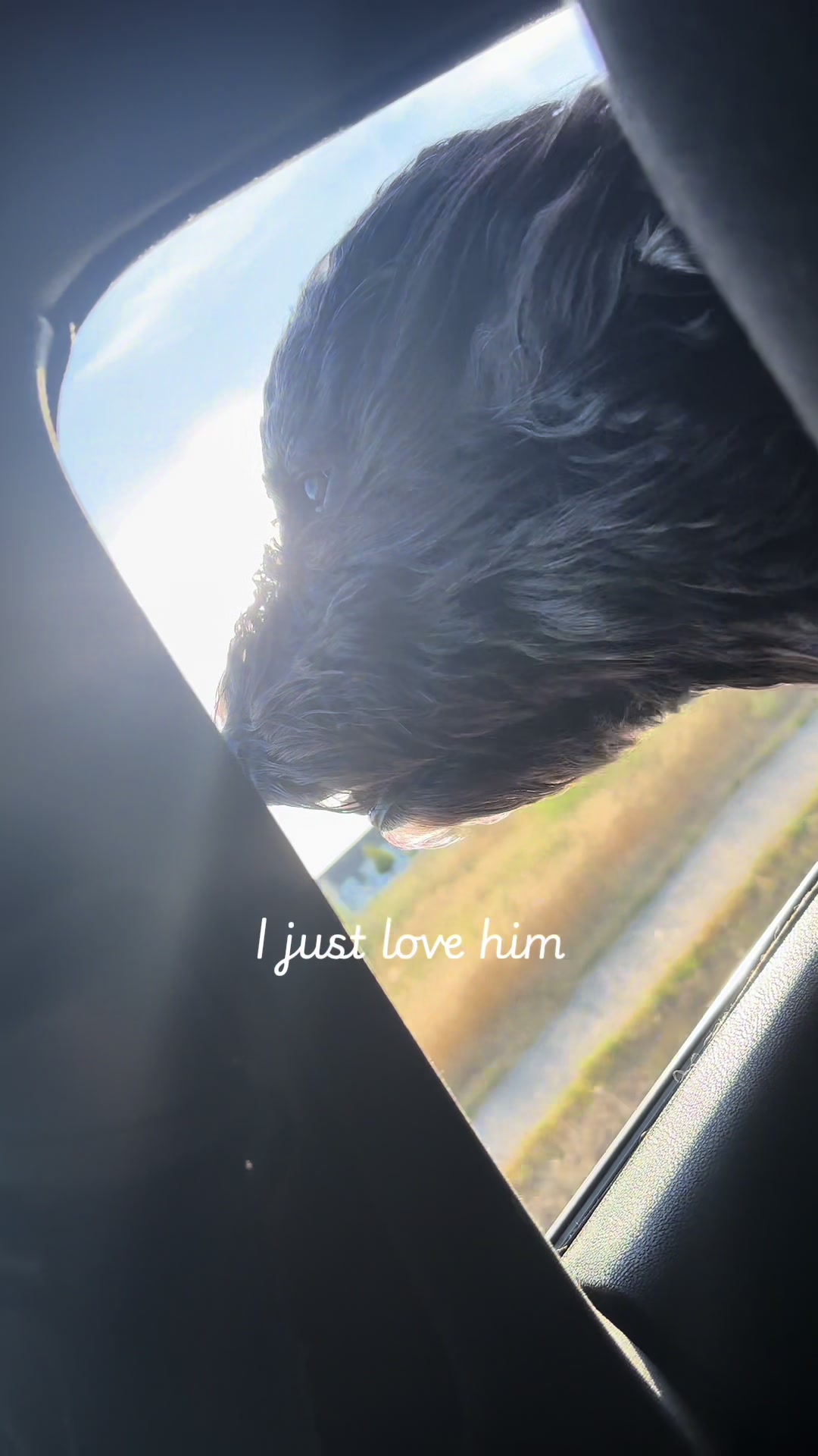 @LennyAndMaple