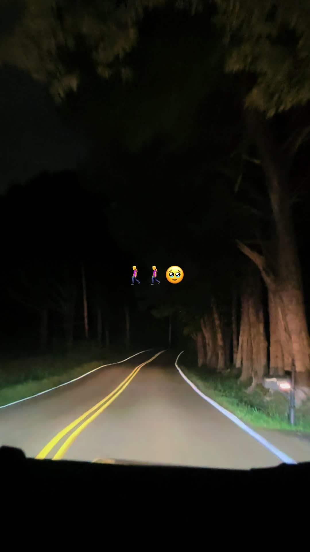 @🦋🦖LETTY🤠🪗