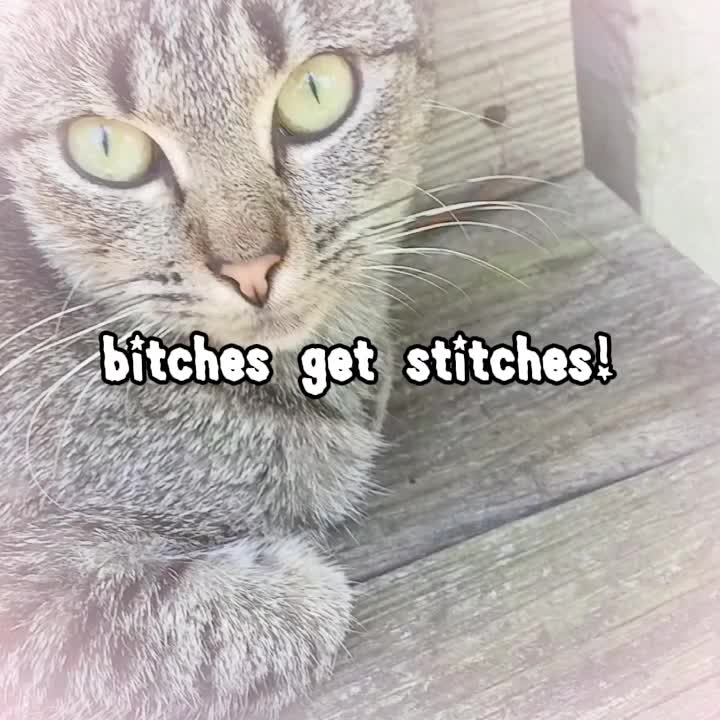 @Brii 🐈⬛