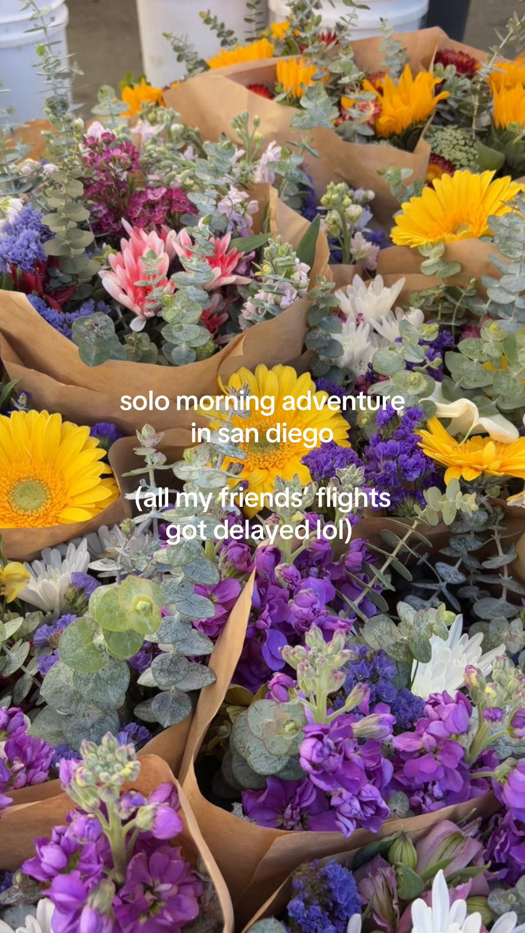 @sun