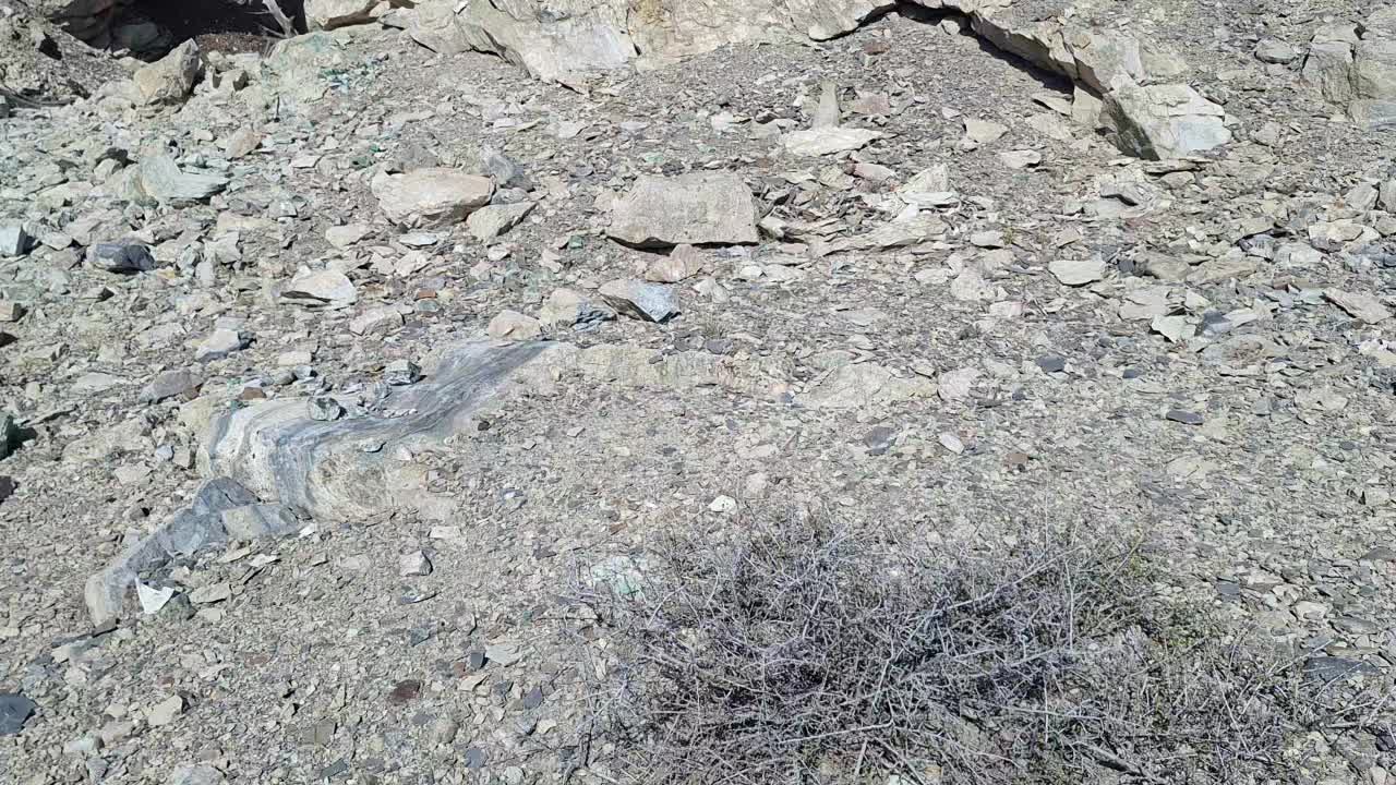 @Nevada HIGHDesert