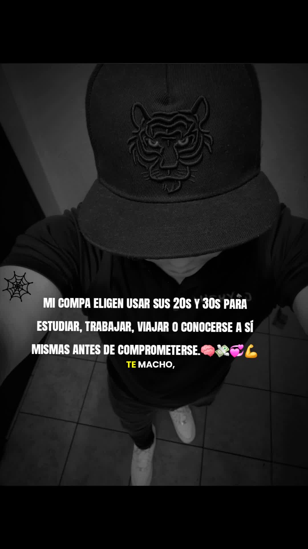 @🕸«Hache»🕷