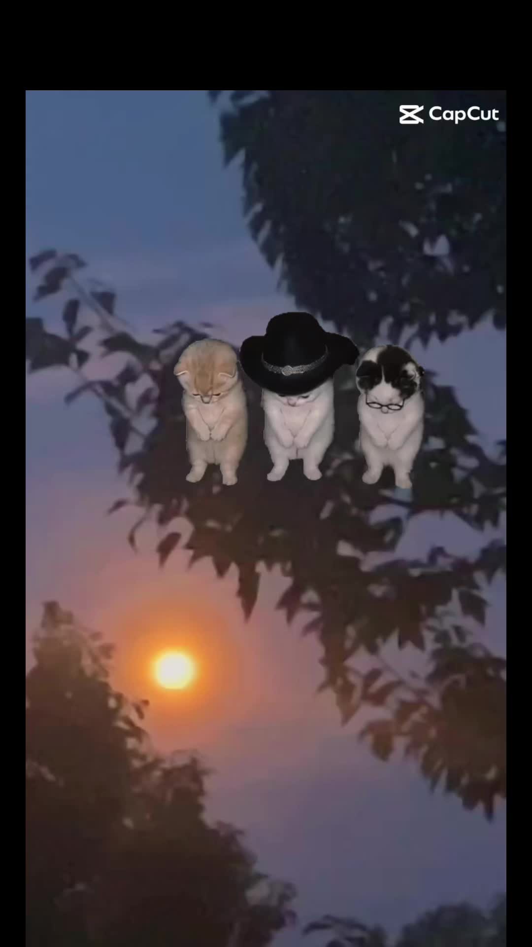 @&mu;έ&lambda;&alpha;