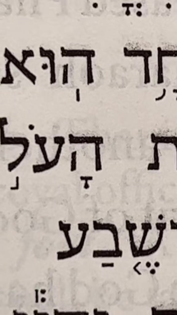 @Rabbi Seth Goldstein