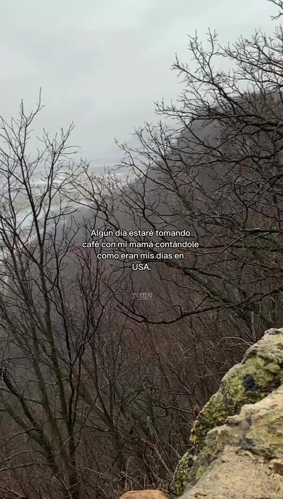@:)?