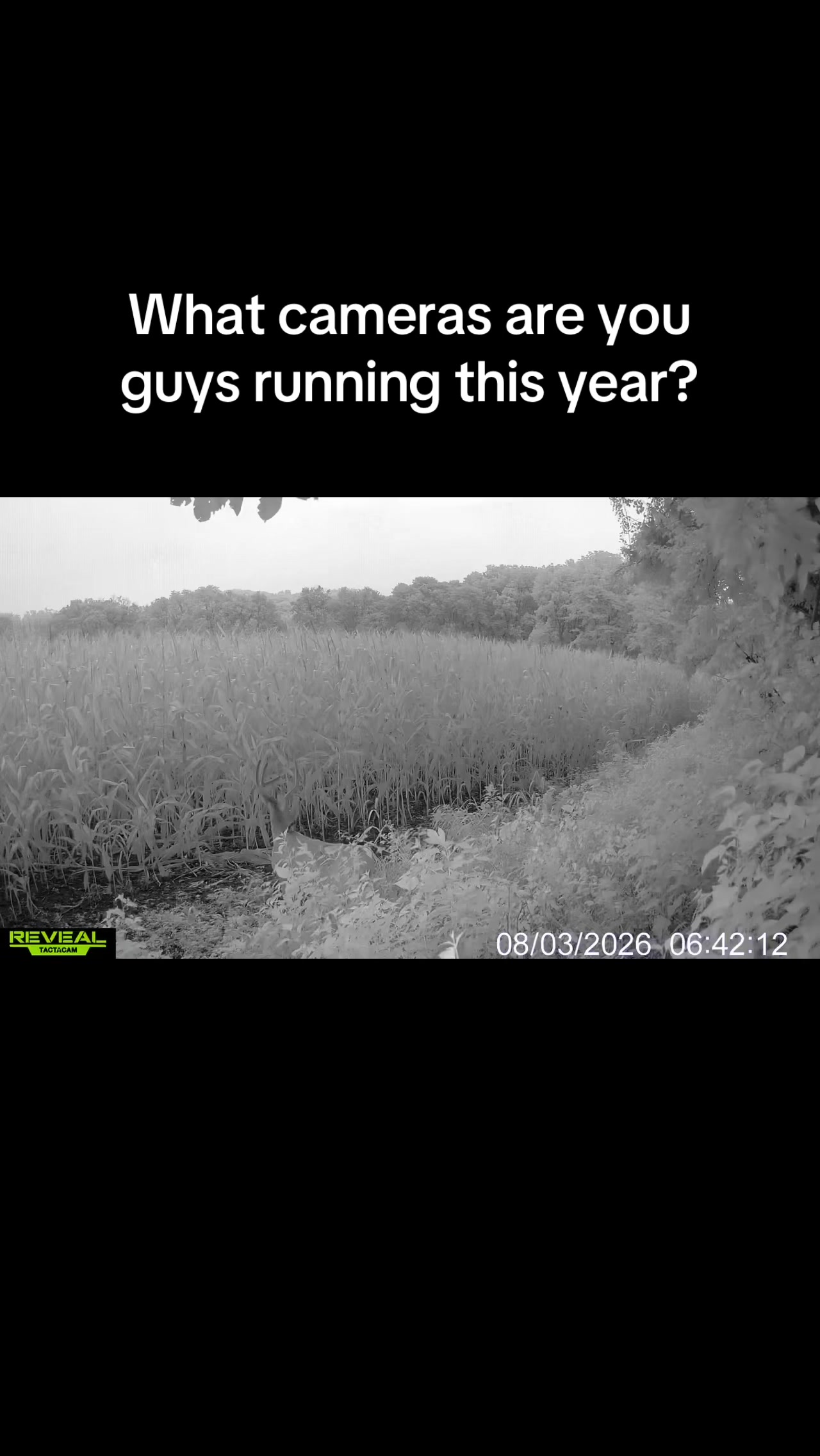 @Going for broke outdoors