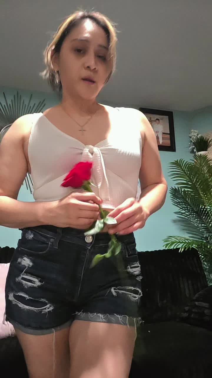 @︎꧁☆❀℉𝕒𝕥iм𝕒❀🥀🐢☆꧂