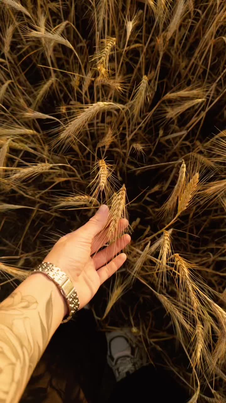 @𝓔𝓲𝓻𝓮𝓷