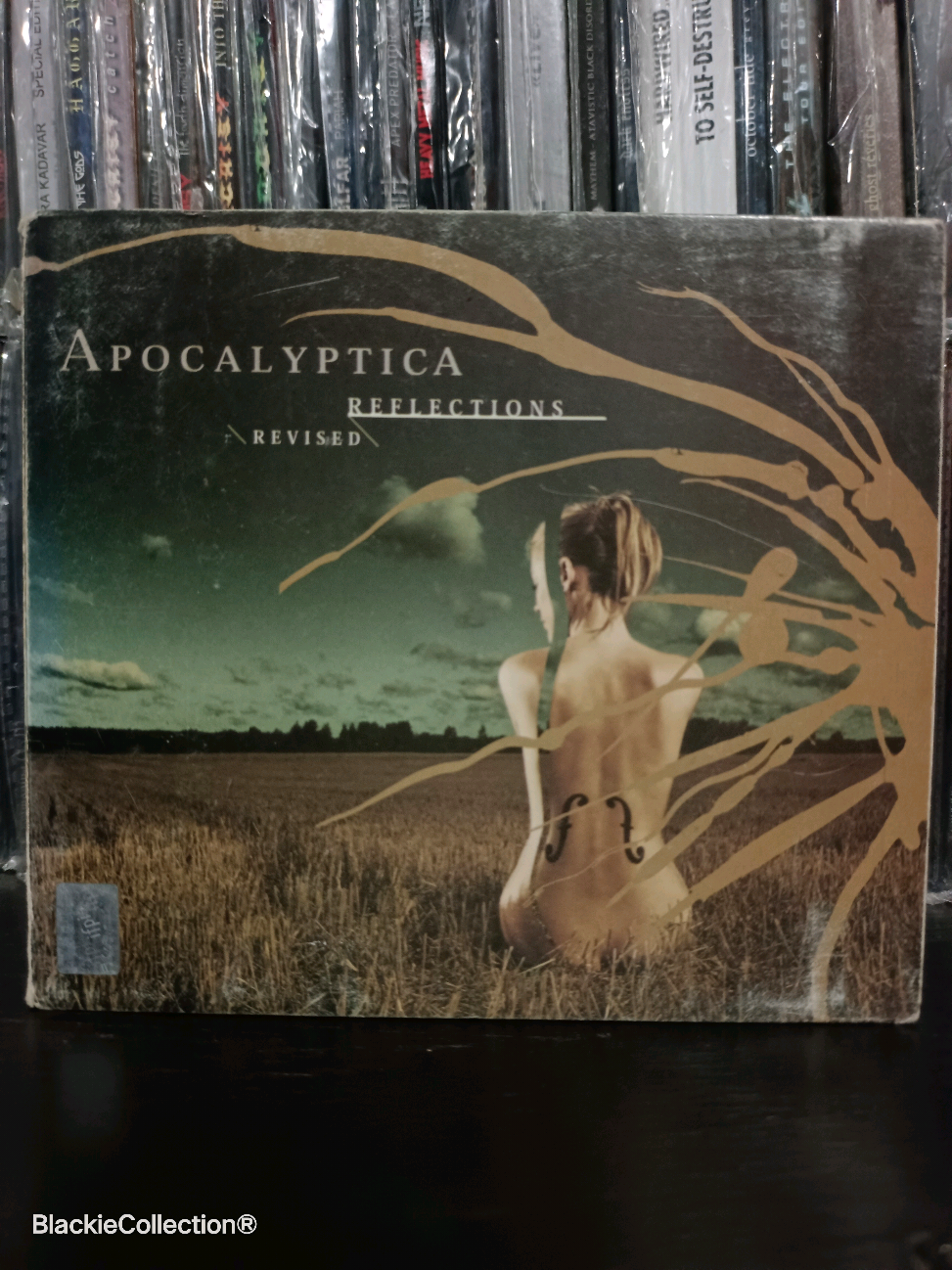 @Metal Music Physical Review
