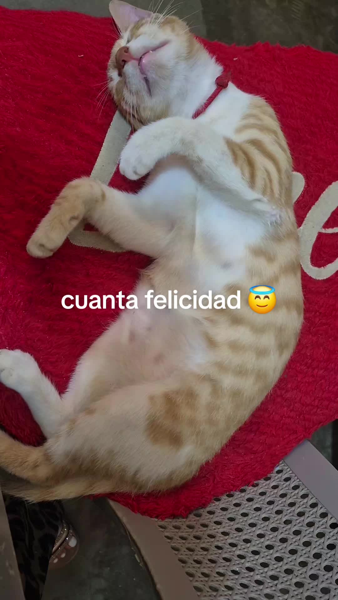@Emma