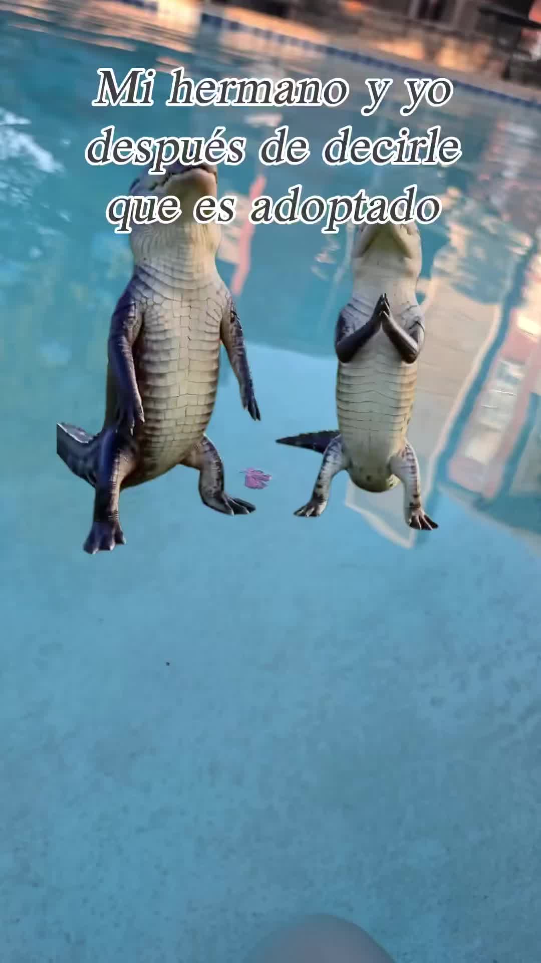 @Ámbargabriella