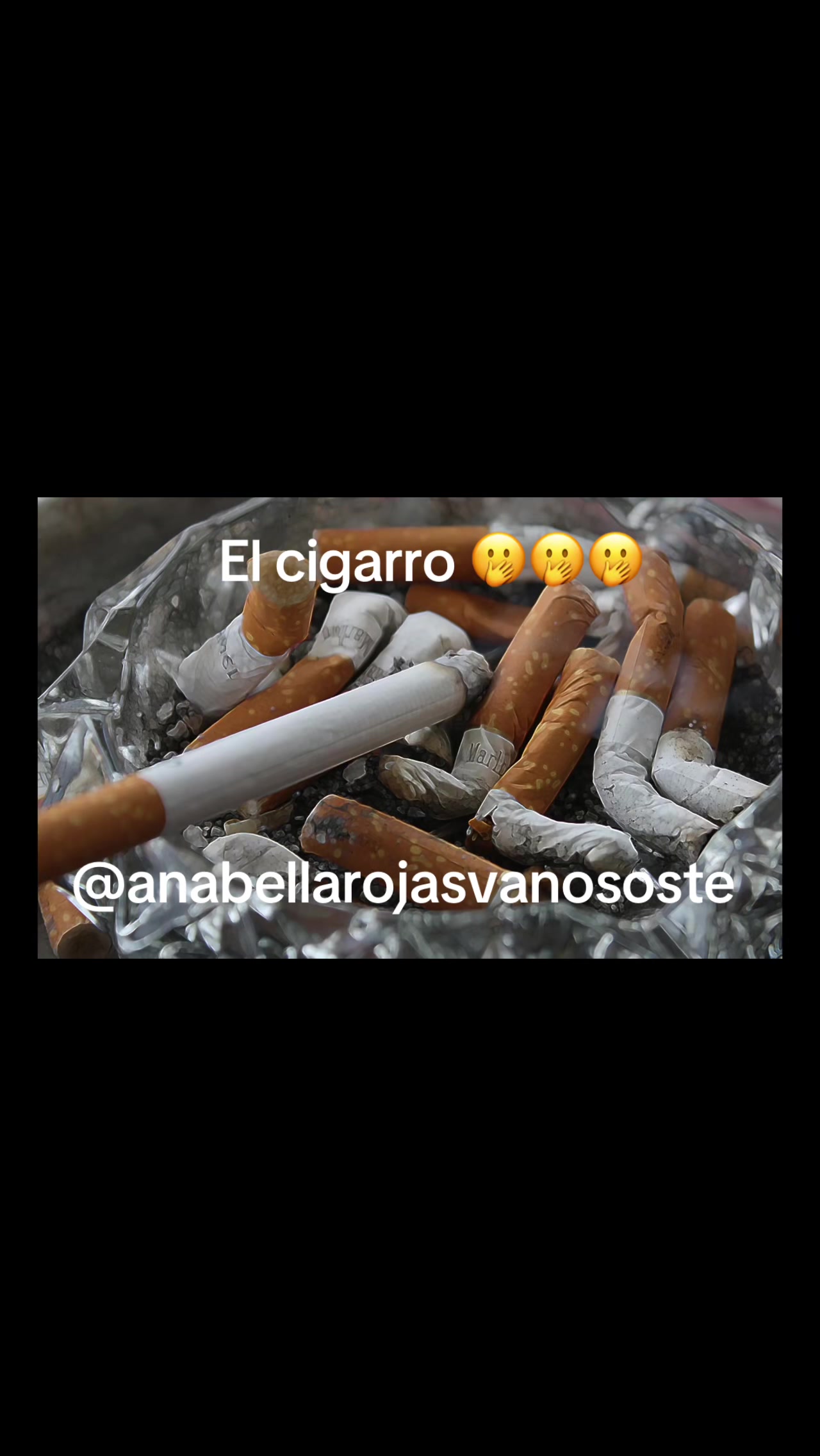 @Anabella Rojas Vanososte
