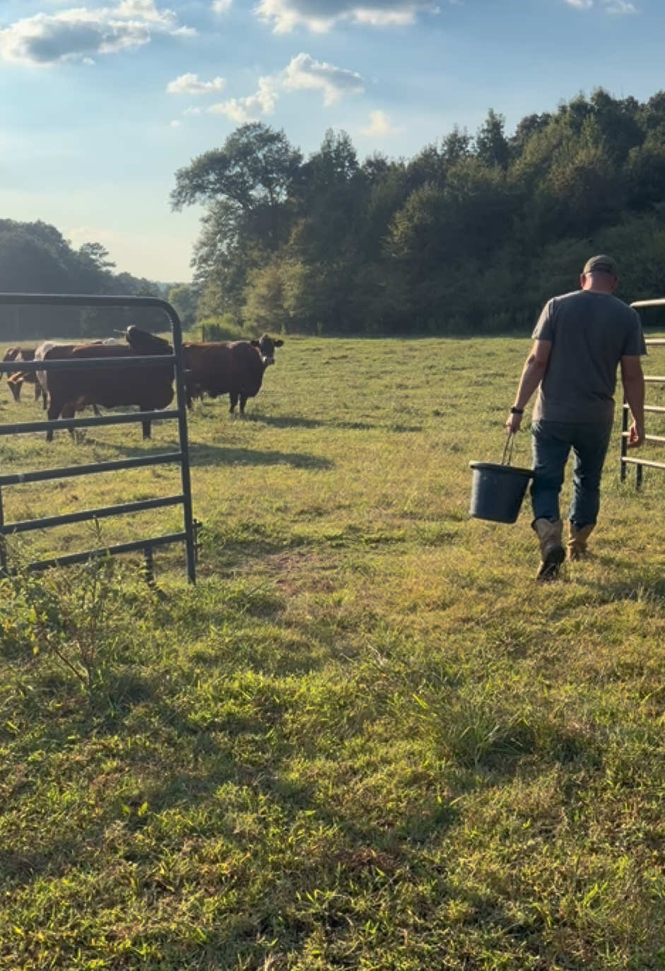 @Georgia Farm Girl