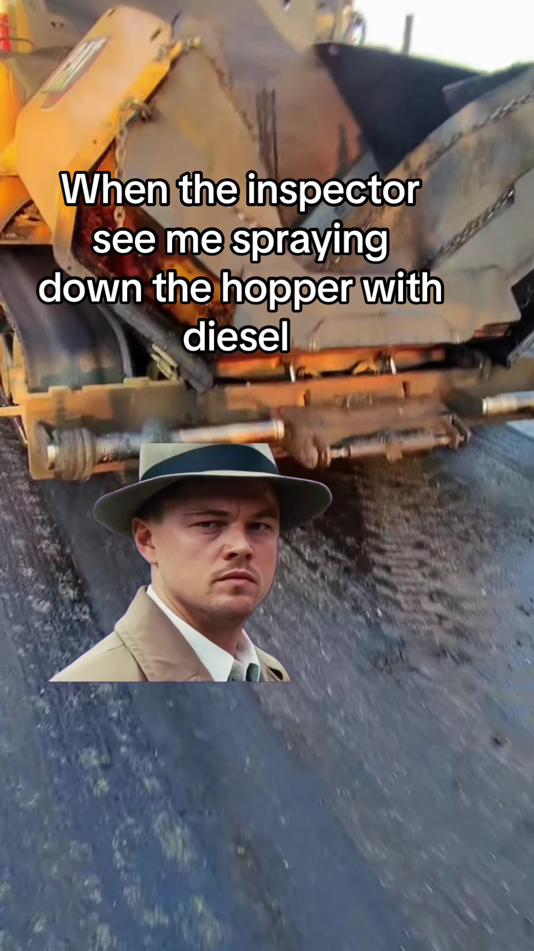 @CALIBOI559