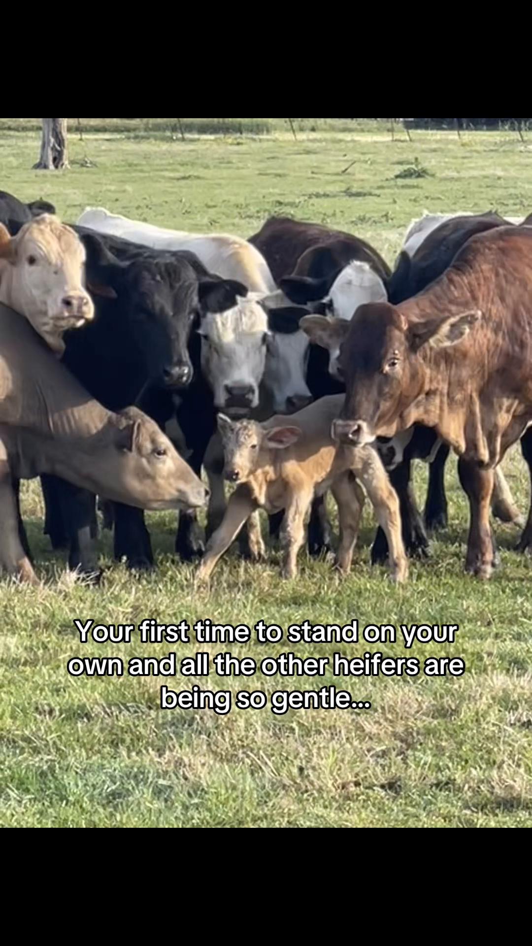 @The Farm Guy