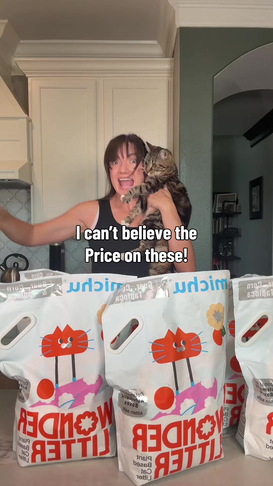@mjvanicek